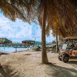 Electronic Golf Carts: The New Standard on the Island